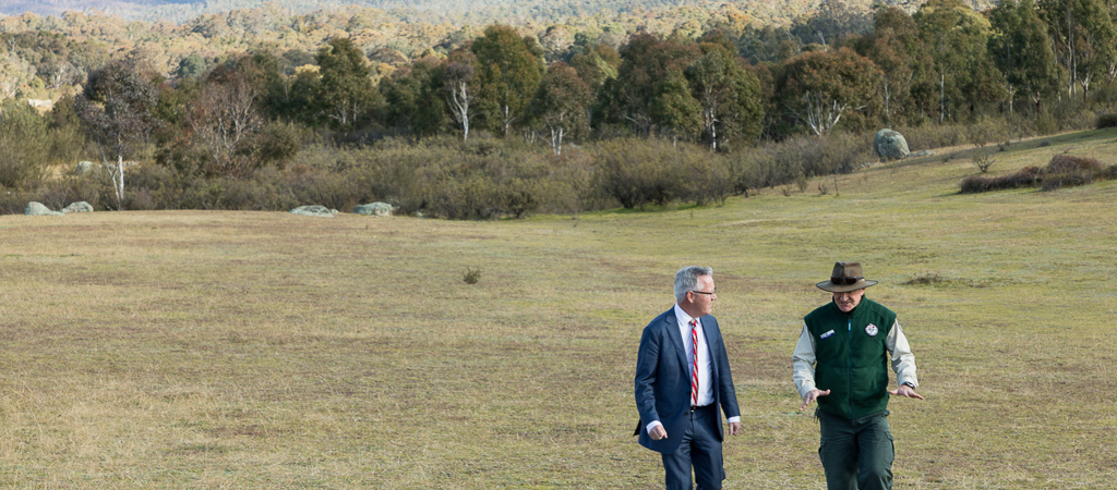 Better telco services for rural land and nature reserves in Bean Main Image